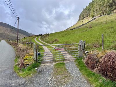 Picture 30
